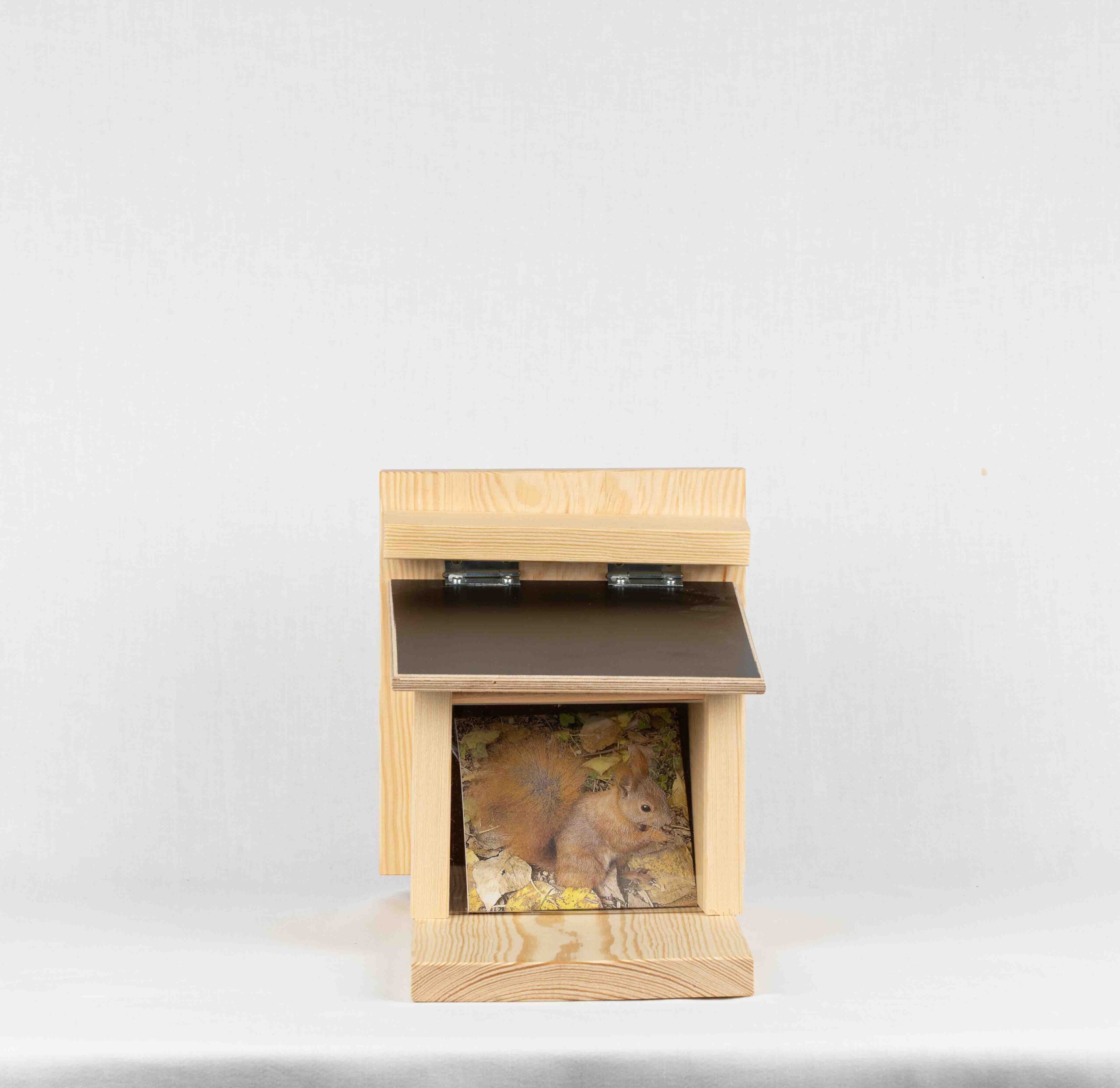 Futterstelle für Eichhörnchen