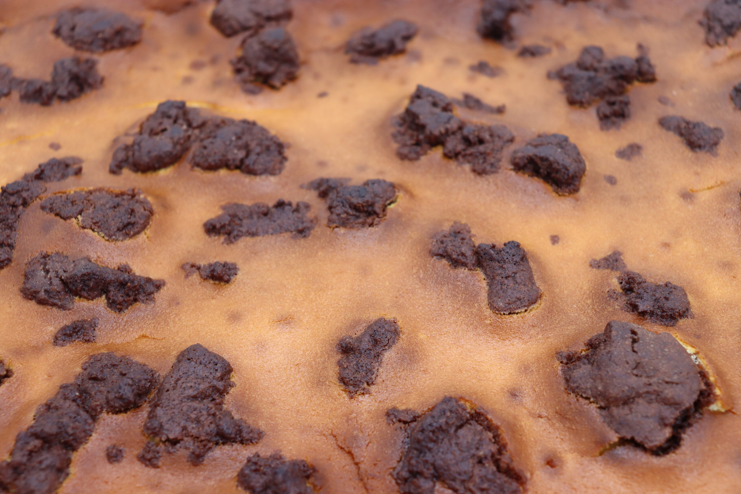 O Backstube – Handgemachte Kuchenbleche für jeden Anlass – Bild 8